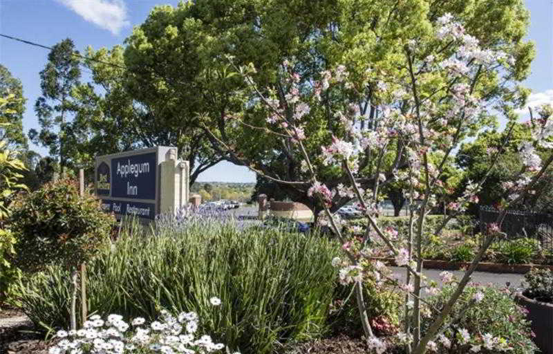 Applegum Inn Toowoomba Ngoại thất bức ảnh